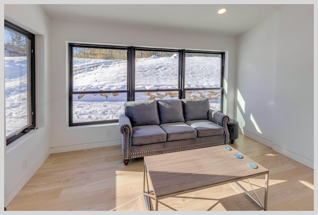 living room featuring a wealth of natural light and light wood-type flooring