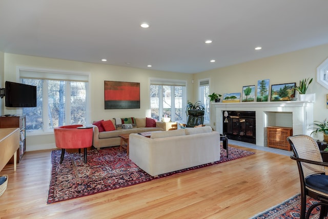 living room with light hardwood / wood-style floors