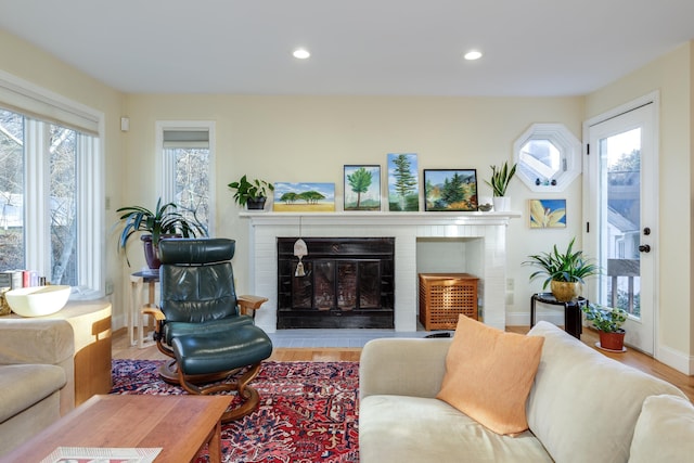 living room with a fireplace and light hardwood / wood-style flooring