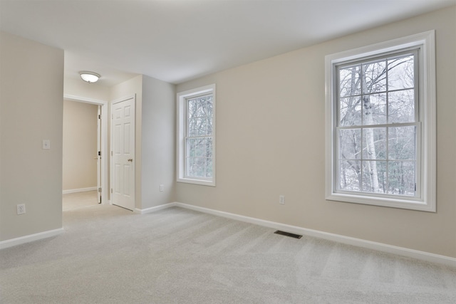 spare room featuring plenty of natural light and light carpet