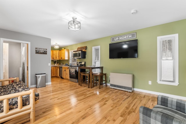 living room featuring light hardwood / wood-style flooring