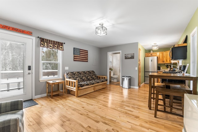 living room with light hardwood / wood-style flooring