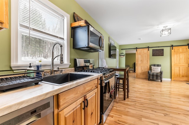 kitchen with sink, stainless steel appliances, a barn door, and light wood-type flooring