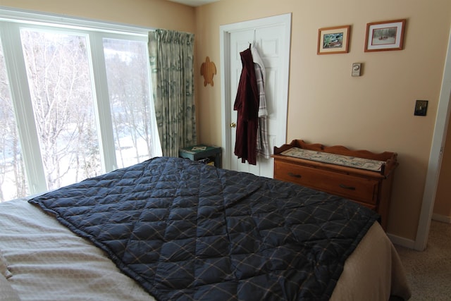 bedroom with carpet floors