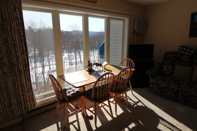 dining space featuring a wealth of natural light