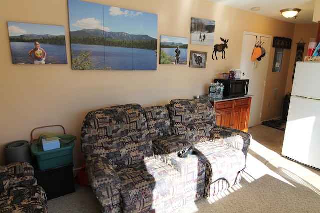 living room featuring a mountain view and carpet