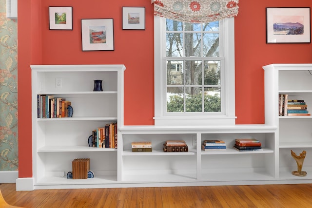 details with hardwood / wood-style floors and built in shelves