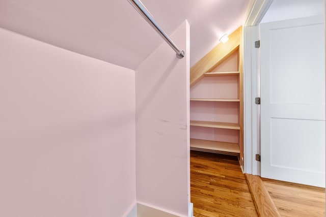 spacious closet with wood-type flooring