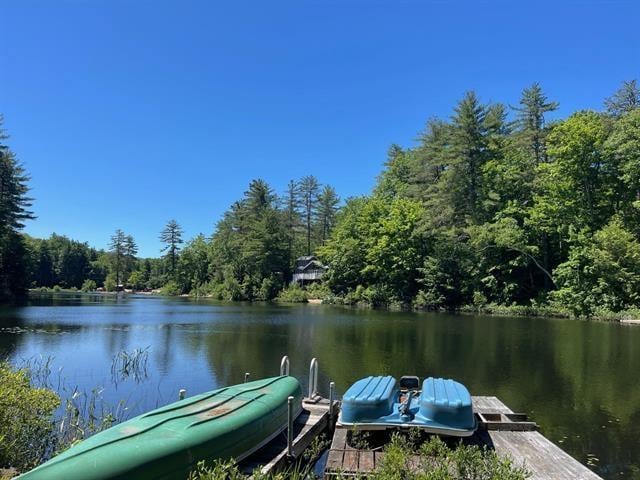 view of dock with a water view