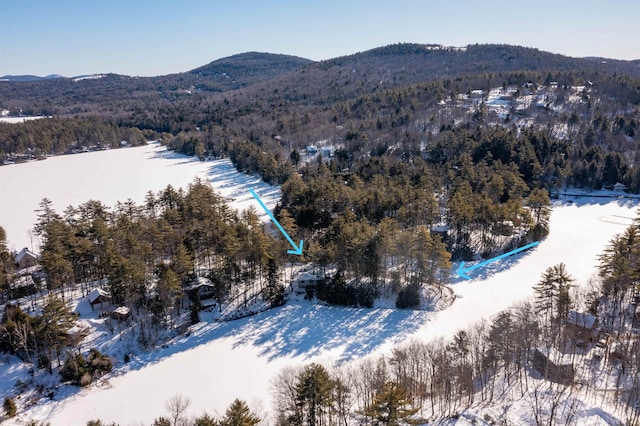 snowy aerial view featuring a mountain view