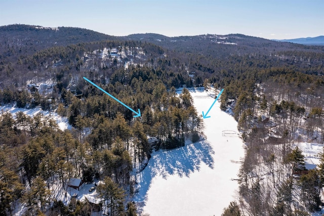 birds eye view of property featuring a mountain view