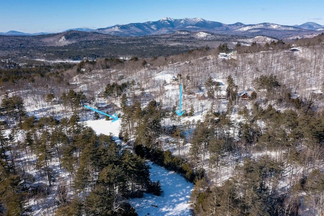 snowy aerial view featuring a mountain view