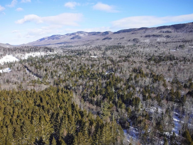 Butz Rd, Granville VT, 05747 land for sale