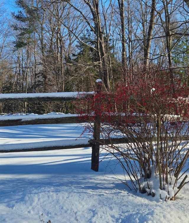 view of yard covered in snow