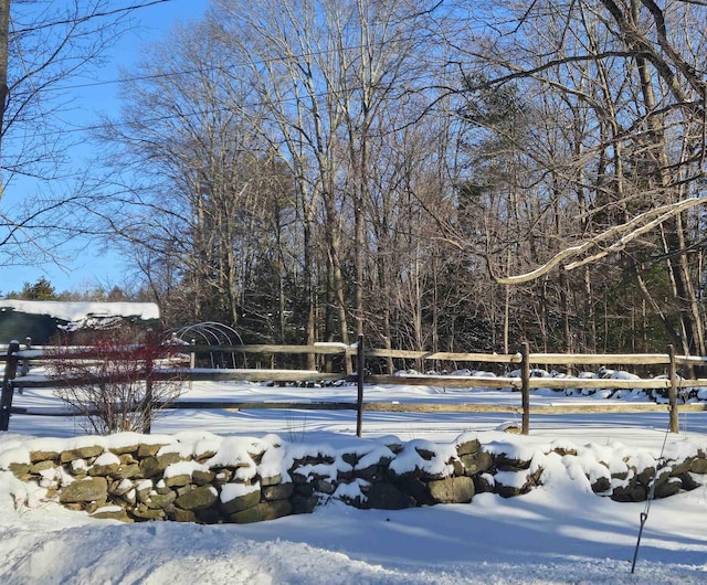 view of yard covered in snow