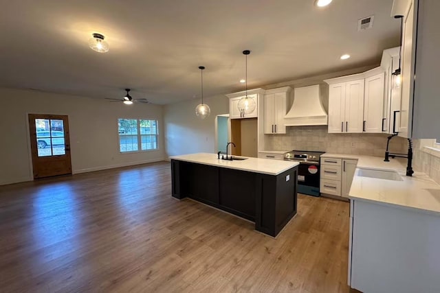 kitchen with a sink, electric range, custom exhaust hood, and backsplash