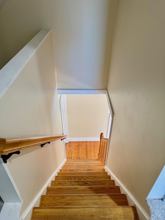 staircase featuring wood-type flooring