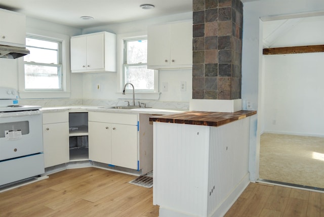 kitchen with a sink, light wood-style flooring, ventilation hood, and electric stove