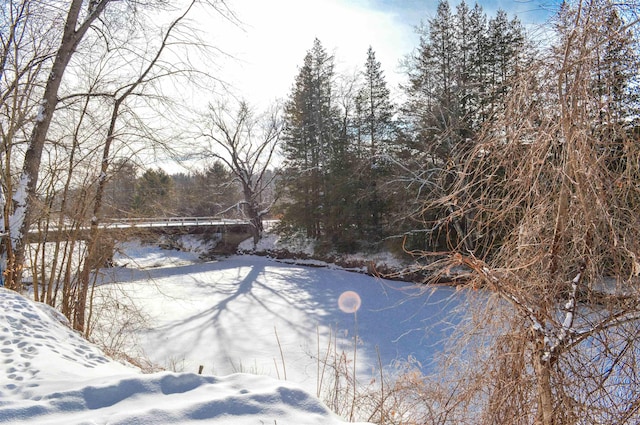 view of snowy yard