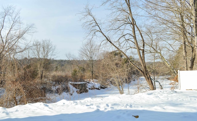 view of yard layered in snow