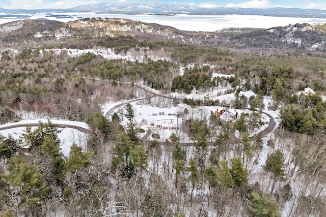 snowy aerial view featuring a mountain view