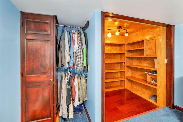 spacious closet with carpet floors