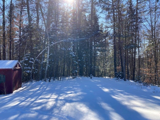 view of yard covered in snow