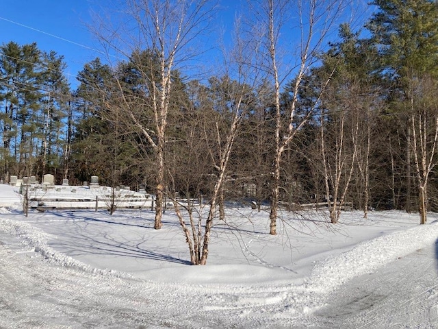 view of yard covered in snow