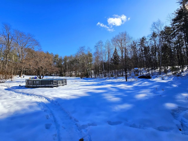 view of yard covered in snow