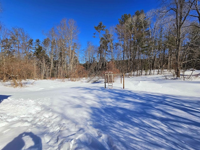 view of yard covered in snow