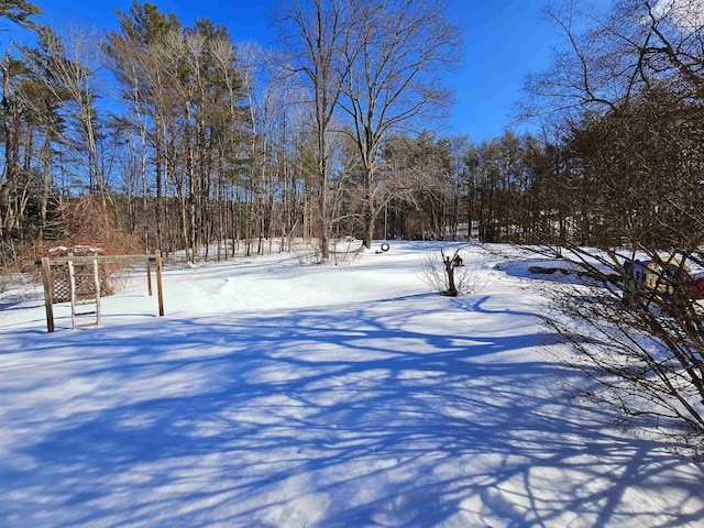 view of yard layered in snow