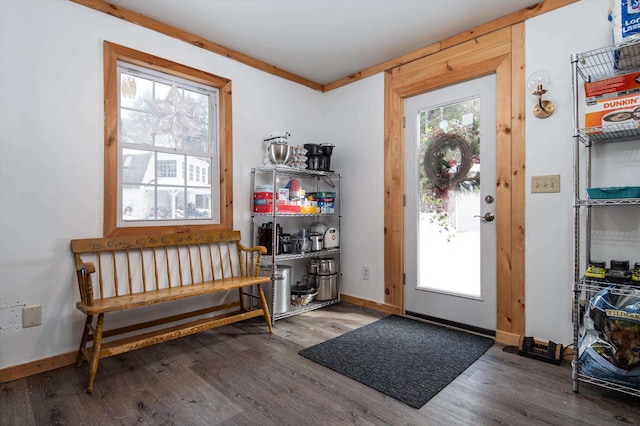 entrance foyer with hardwood / wood-style flooring and a wealth of natural light