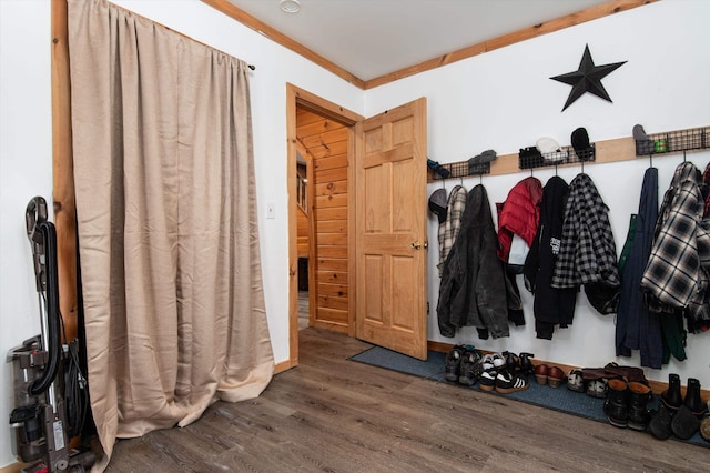 mudroom featuring dark wood-type flooring