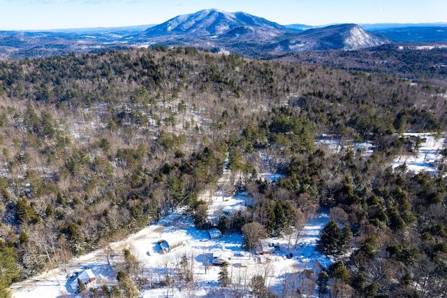 drone / aerial view with a mountain view