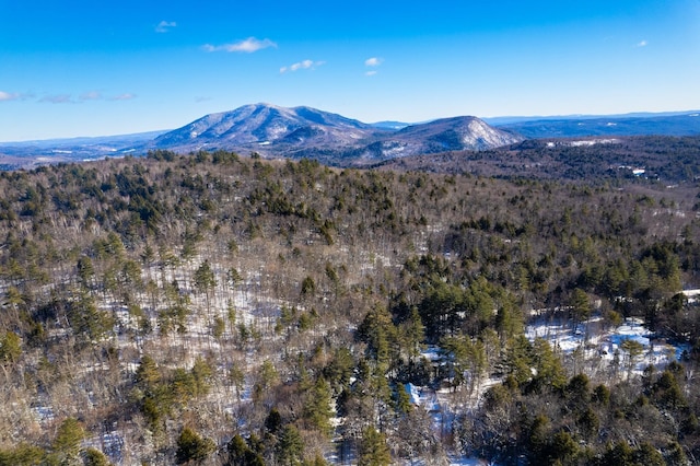 view of mountain feature