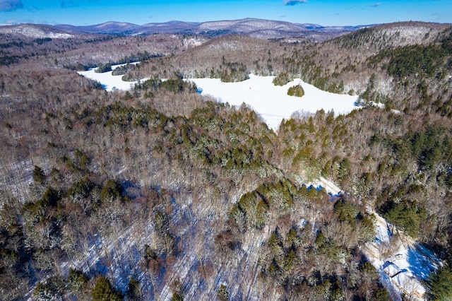 aerial view with a mountain view