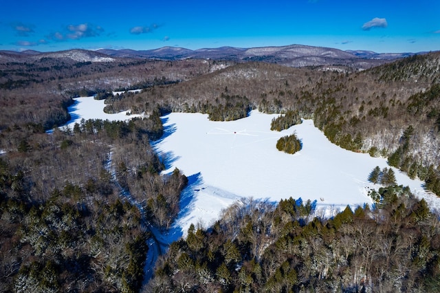 snowy aerial view with a mountain view