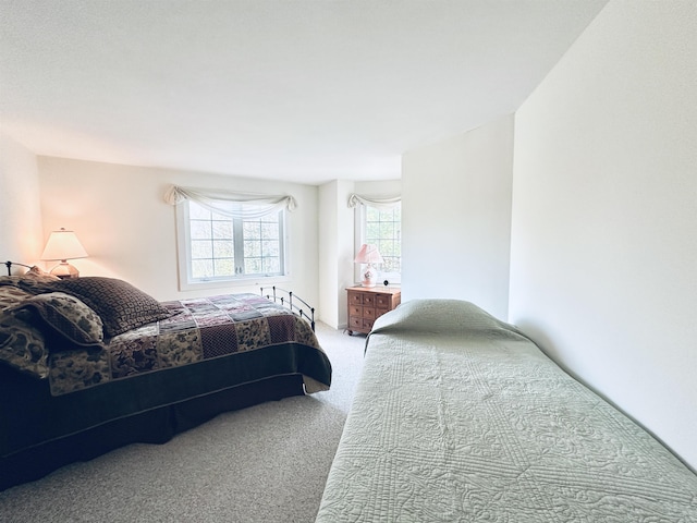 bedroom with carpet floors