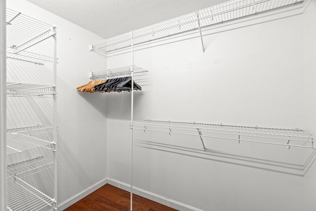 walk in closet with dark hardwood / wood-style floors