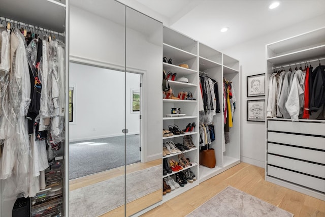 spacious closet with hardwood / wood-style flooring