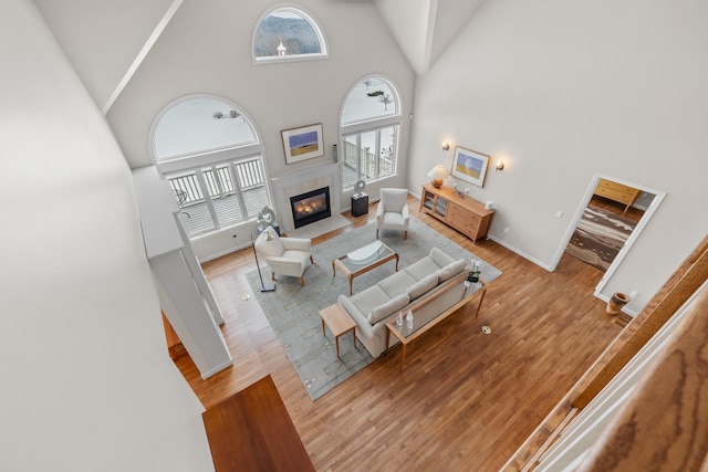 living room featuring wood-type flooring and high vaulted ceiling