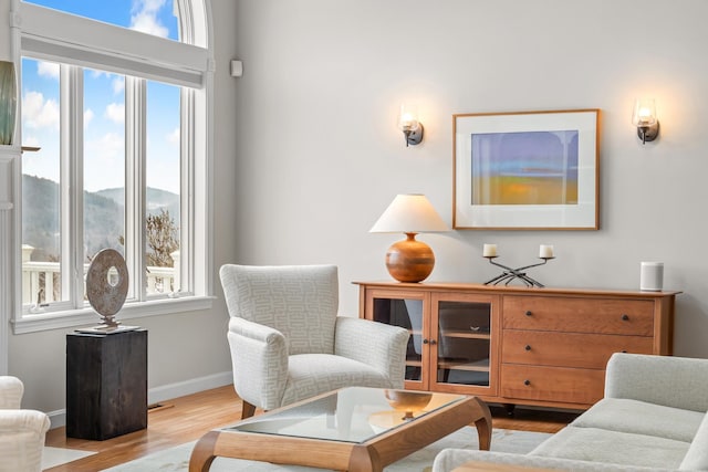 living area with a mountain view, a wealth of natural light, and light hardwood / wood-style flooring