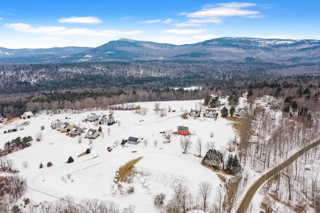 snowy aerial view with a mountain view