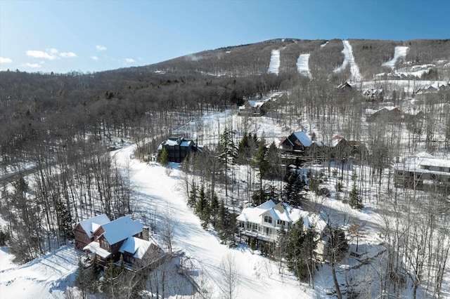 snowy aerial view featuring a mountain view