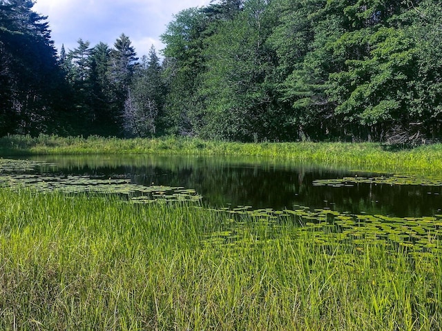 view of local wilderness with a water view