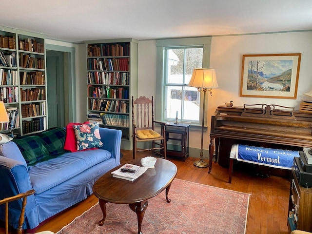 living area featuring wood-type flooring