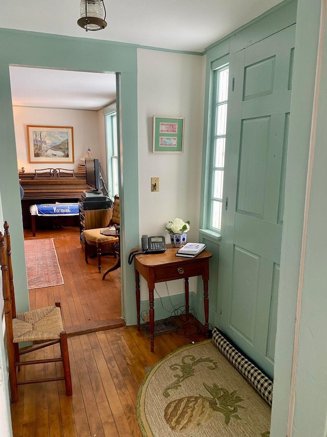 foyer entrance with hardwood / wood-style flooring and a healthy amount of sunlight