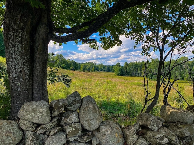 view of nature