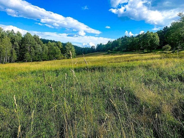 view of nature featuring a rural view