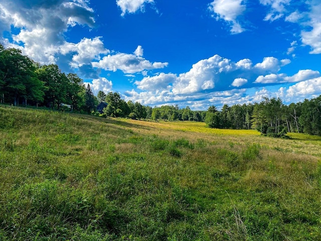 view of nature featuring a rural view